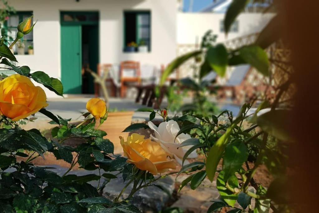 Erofili Cottage House Eloúnda Exterior foto